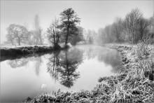 Along the Wey by Peter Merrick
