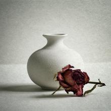 Vase and Rose by Sarah Leighton