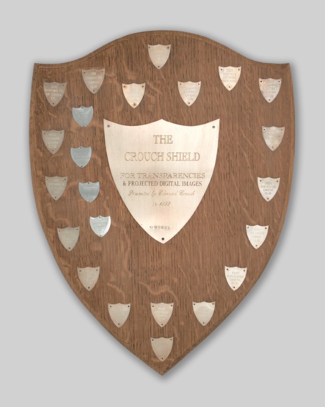 The Crouch Shield for PDIs
