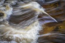 Peaty Stream by Rod Armstrong