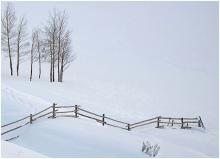 A Winter Landscape