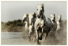 Through The Water by Rosie Armes