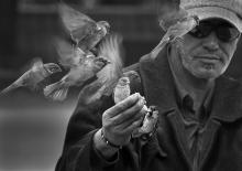 A Bird in the Hand by Rosie Armes 