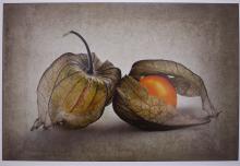 Two Fruits by Chris Walker