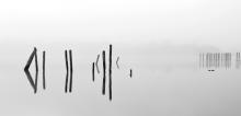 Reflections Derwentwater - - Maggi Tollotson ARPS