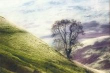 Coquet Valley by Bill MacKnight (Chichester)
