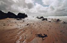 Cornish Beach by Mike Davison