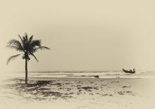 Hoi-An Beach, Vietnam by Daisy Kane
