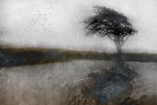 Ditching Dew Pond by Adrian Barrett