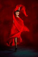 Pirouette en Pointe Peter Merrick DPAGB FRPS