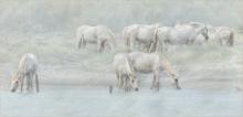 At the Waters Edge by Jan Arnold LRPS